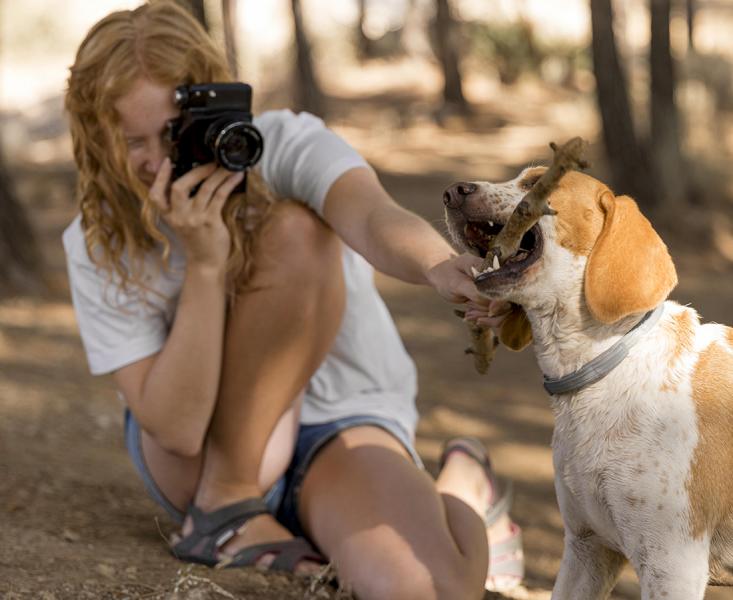 Jak zrobić zdjęcie z psem